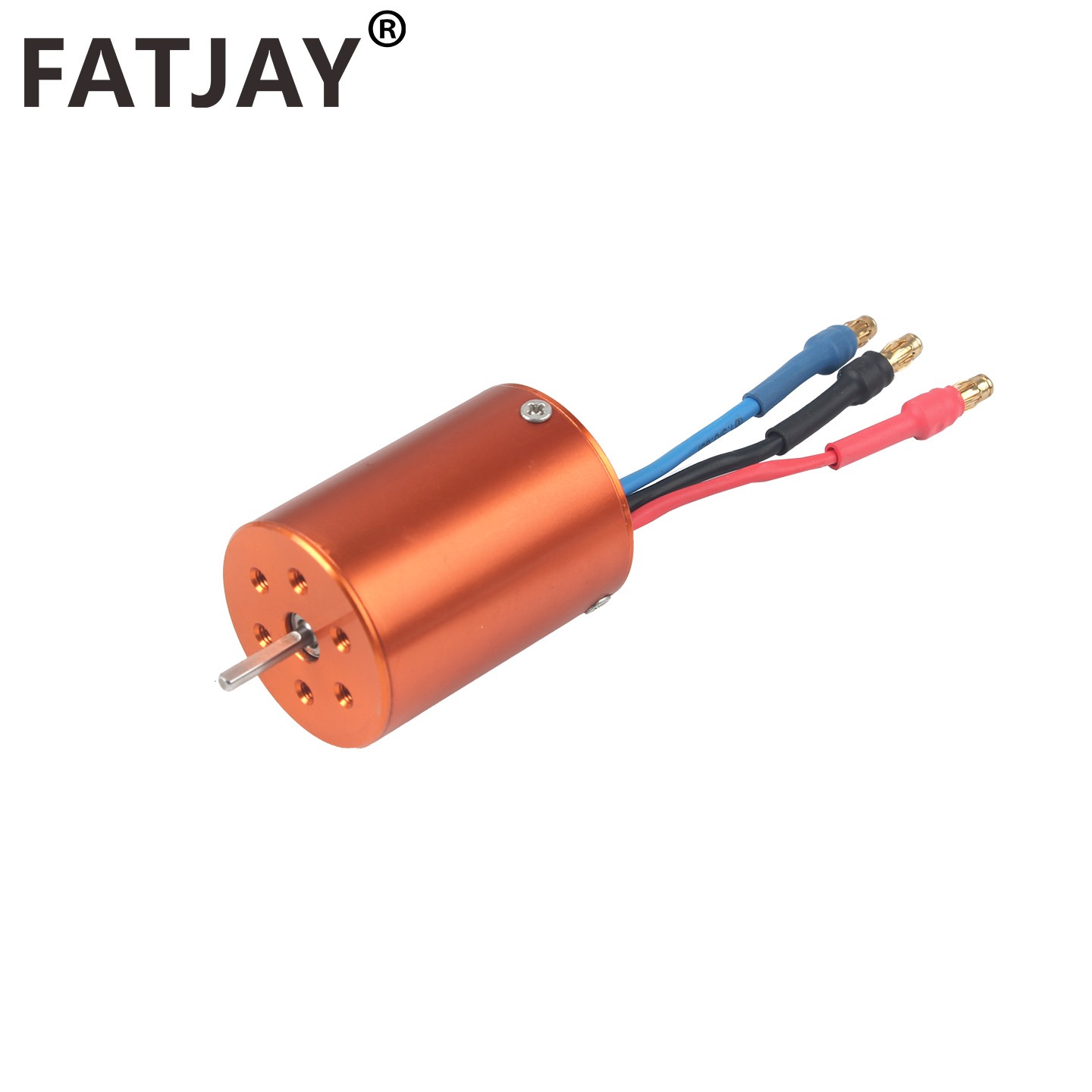FATJAY 2838-2800KV 3800KV RC H - Rc Hobby Model 리뷰 및 가격